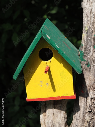 Wallpaper Mural Pole with yellow and green wooden birdhouse. Torontodigital.ca