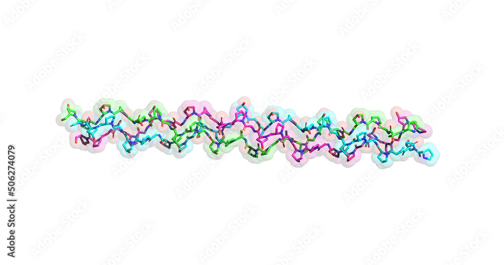 Fototapeta premium Collagen molecule