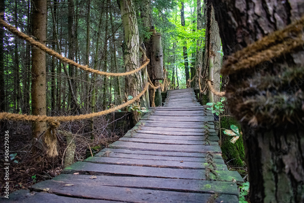 Swamp bridge