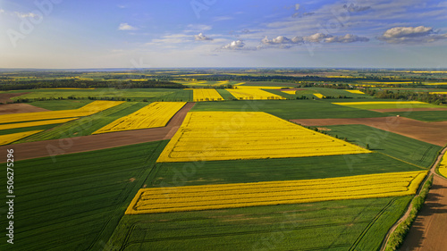 Pola rzepak Polska rolnictwo wieś © Artrur