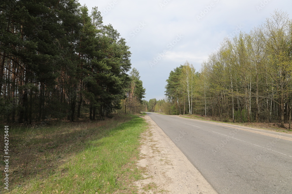 View of a road along a forest.