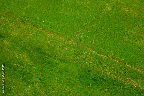Fototapeta Naklejka Na Ścianę i Meble -  Wiejski krajobraz, widok z drona. Zielone pola na północy Polski. Suwalszczyzna wiosną.