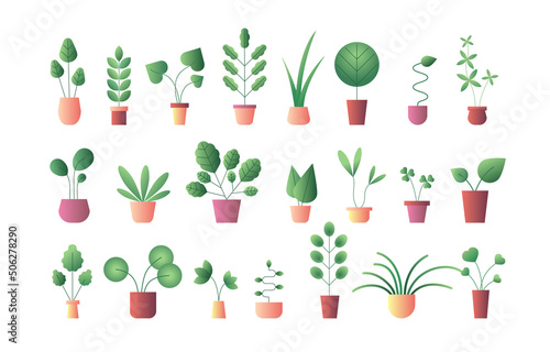 Set with potted plants set microgreen on white background for decorative design. Vector illustration drawing Isolated.