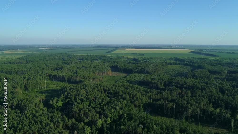 Aerial view forest and deforestation in summer. Drone flying over green trees in sunny day. Drone shot over trees cut down. Ecological catastrophe of the entire planet earth, environmental pollution Aerial view forest and deforestation in summer. Drone flying over green trees in sunny day. Drone shot over trees cut down. Ecological catastrophe of the entire planet earth, environmental pollution