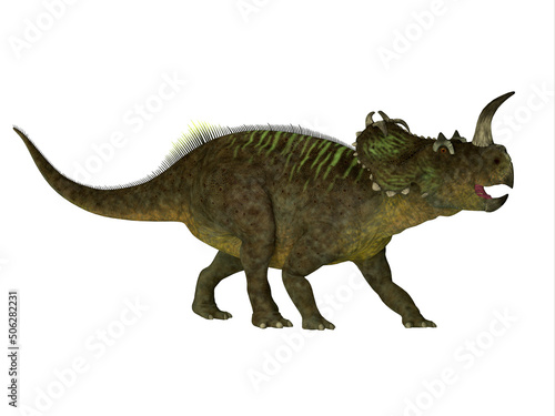 Centrosaurus Ceratopsian Dinosaur - Centrosaurus was a herbivorous beaked dinosaur that lived in Canada during the Cretaceous Period.