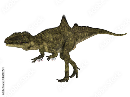Concavenator Carnivore Dinosaur - Concavenator was a carnivorous theropod dinosaur that lived in Spain during the Cretaceous Period. © Catmando
