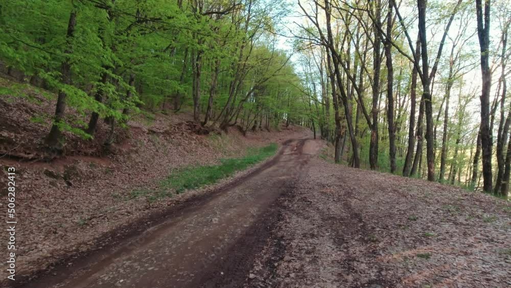 Dirt road in the forest handheld movement