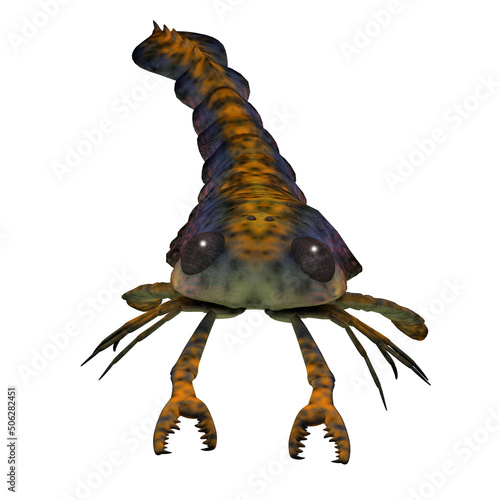 Pterygotus Scorpion Eurypterid - Pterygotus was a carnivorous sea scorpion that lived in worldwide seas of the Silurian and Devonian Periods. photo