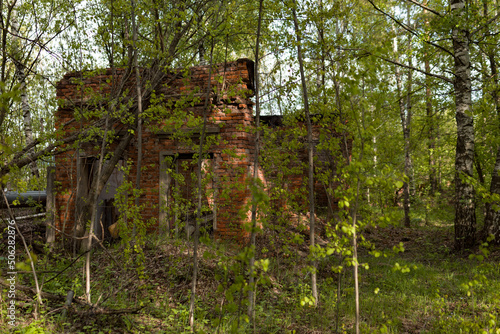 Old abandoned ruined building made of bricks in a thicket of trees