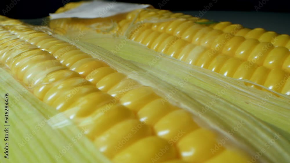 Corn harvest. Macro photography of corn cobs packed and wrapped in