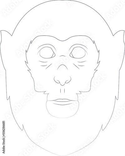 lined monkey vector black and white