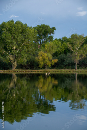 lake in the park