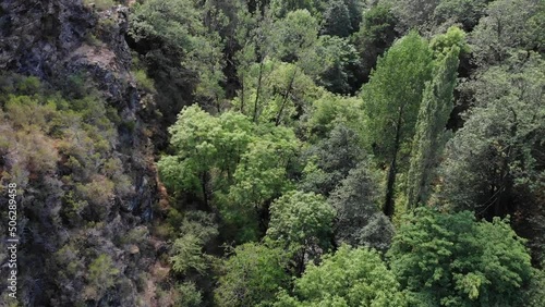 bosque caurel,drone. photo