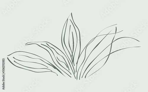 Vector of vintage floral design. Vector of doodle leaves. Simple isolated leaf line drawing for poster, decoration, banner.