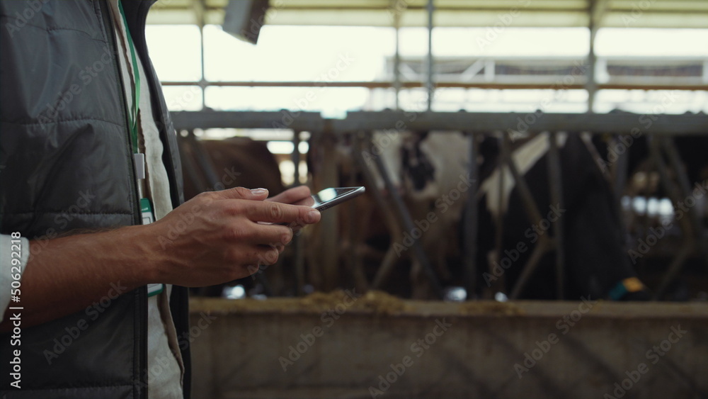 Farmer hands holding tablet computer closeup. Livestock owner walking cowshed. Farmer hands holding tablet computer closeup. Livestock owner walking cowshed.