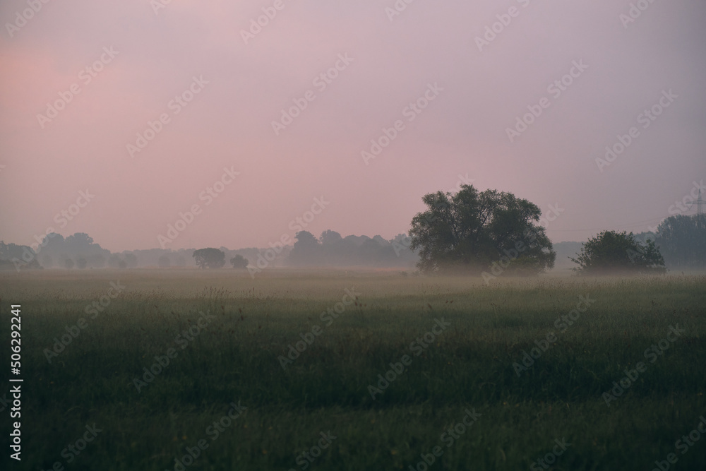 Foggy Landscape in northern Germany. High quality photo Foggy Landscape in northern Germany. High quality photo