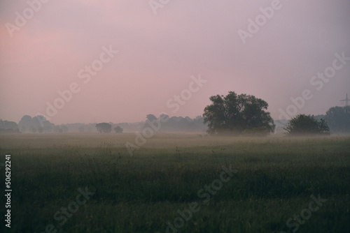 Foggy Landscape in northern Germany. High quality photo