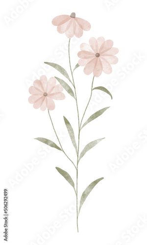 Watercolor trendy flower. Vector illustration for web, app and print. Elegant feminine shape floristic isolated daisies flowers. Garden, botanical, minimalistic floral element.