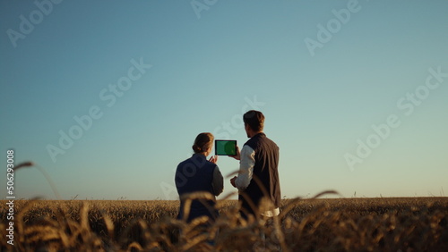 Agriculture workers holding pad computer inspecting cultivated wheat harvest.