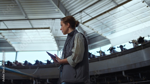 Bilde på lerret Manager inspecting milking parlour alone
