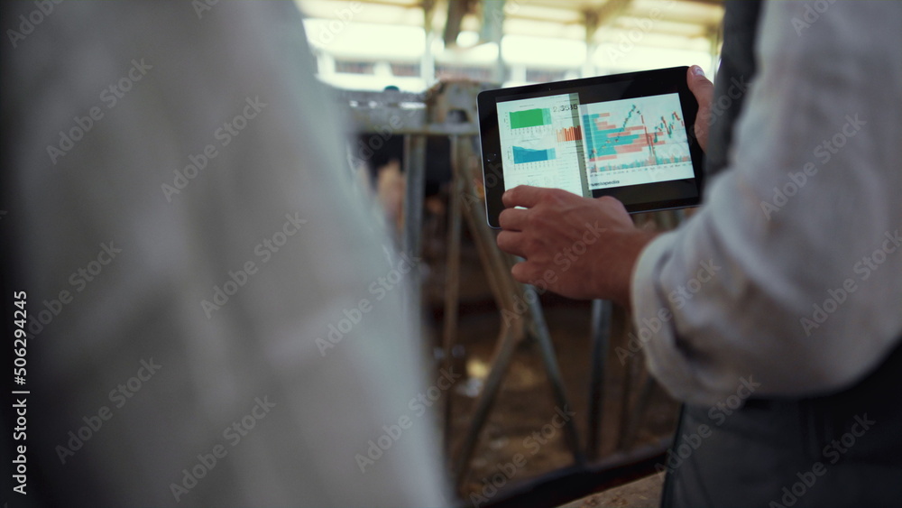 Farm owner hands holding tablet in cowshed closeup. Agribusiness team working Farm owner hands holding tablet in cowshed closeup. Agribusiness team working
