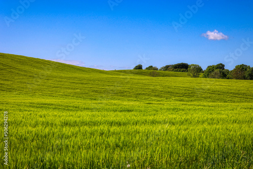 green field and blue sky © Brian Bergh