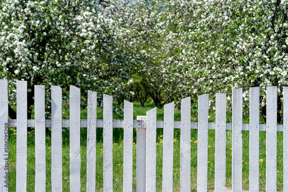 apple orchard apple orchard