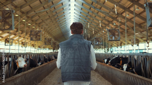 Farmer walking cowshed aisle rear view. Livestock manager inspecting animals.