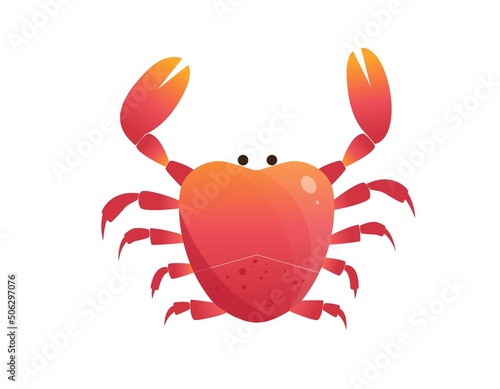 Crab in flat style. Vector illustration isolated on white background, sea underwater animal