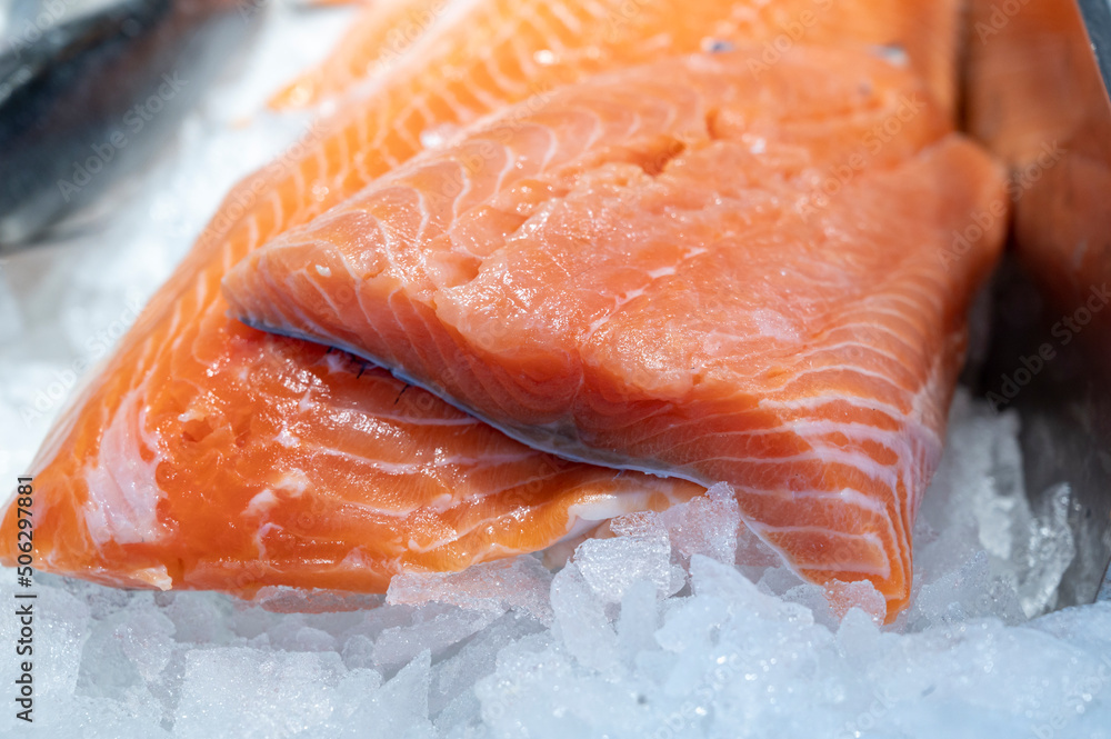 Organic wild scottish fish salmon cleaned on ice on market