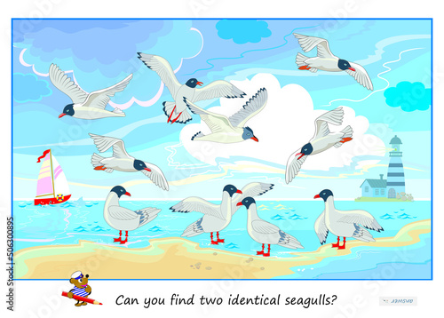 Logic puzzle game for children and adults. Can you find two identical seagulls? Page for kids brain teaser book. Task for attentiveness. Sea life. IQ test. Play online. Vector cartoon illustration.