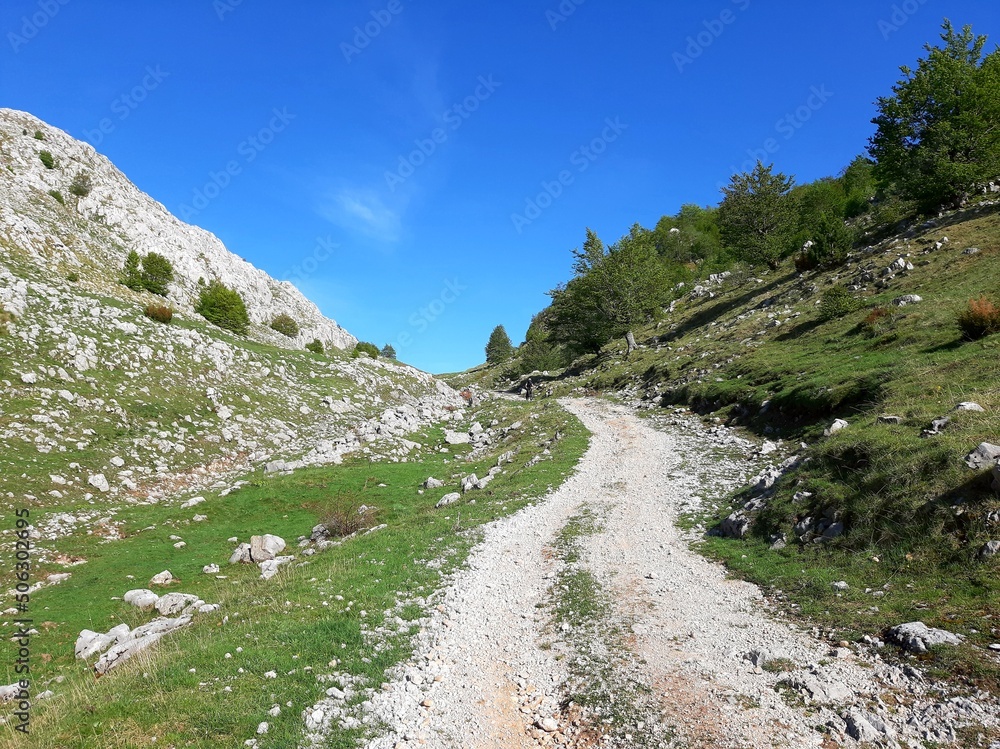 Obraz premium Unpaved road to Crveni Klanac and village Umoljani from Dugo Polje, mountain Bjelasnica, Bosnia and Herzegovina