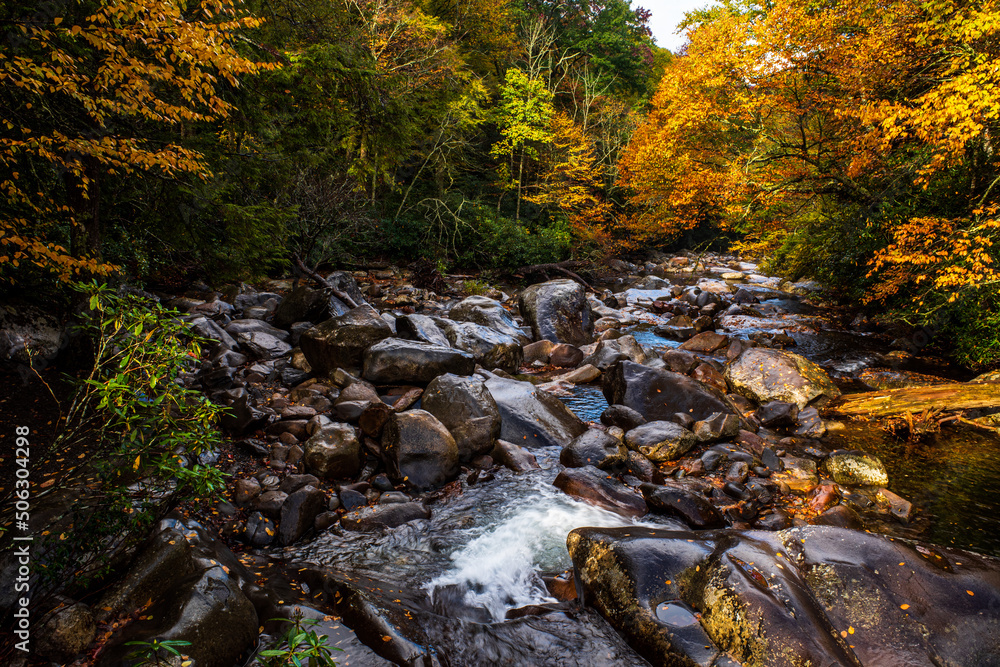 Stream of water in the deep colored fall foliage in the Smoky Mountain National Park (the Smokies), Tennessee, USA.