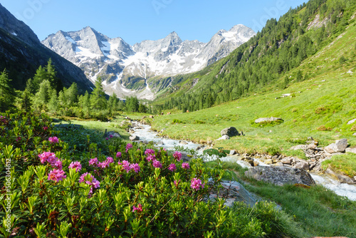 Obraz na płótnie herrliche Berglandschaft mit Wildbach Alpenrosen und Gletscher w salonie