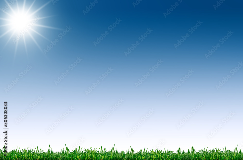 Green grass and bright sun against a clear, blue sky