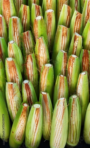 corn on the cob, food, food recipe