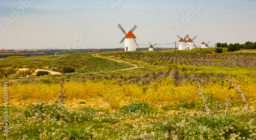 Row of windmills in Mota del Cuervo. Rustic landscape of windmills in province of Cuenca, Spain.