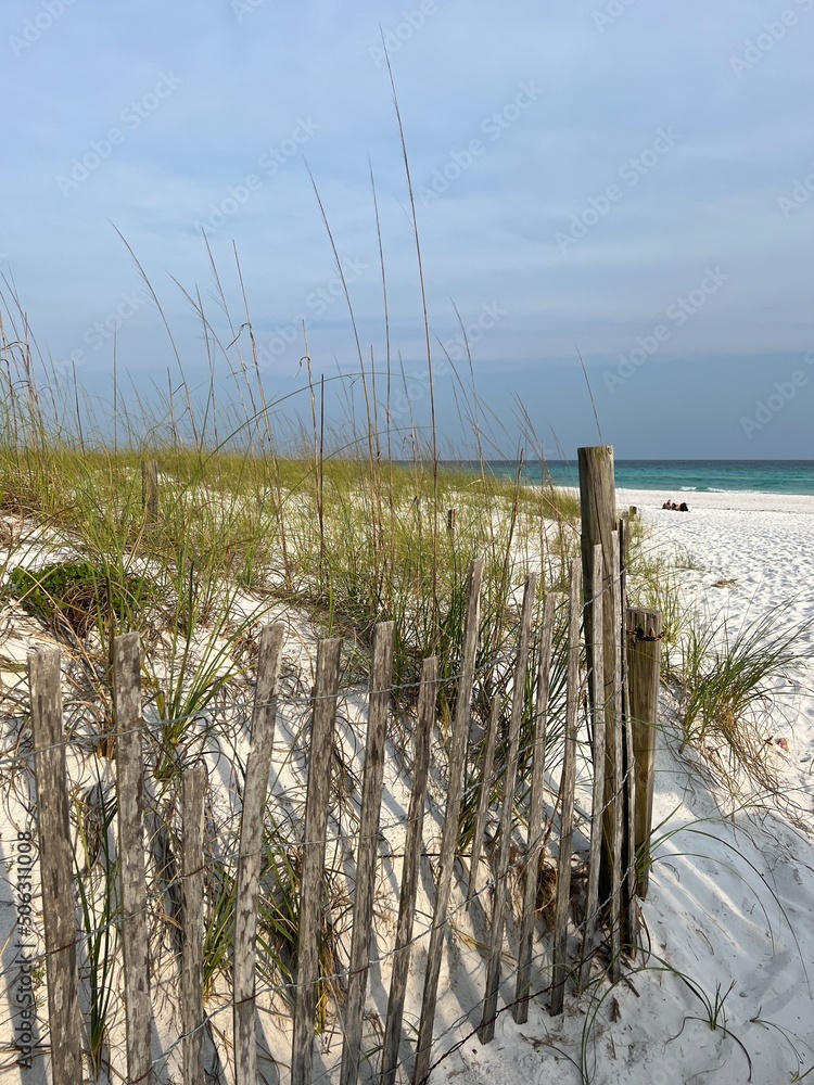 sand dunes Henderson Beach State Park Florida 