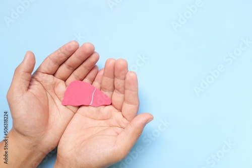 Top view of hand holding liver cutout. Liver health care and protection, hepatitis awareness and organ transplant concept.