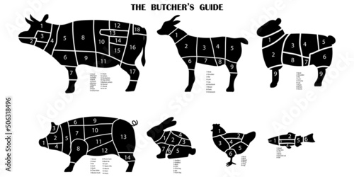 Vintage pet cutting pattern, great design for any purpose. Slicing chart with numbers. stock image.