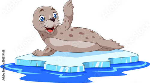 Cartoon seal on ice floe