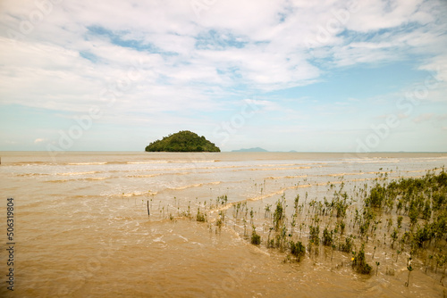 Mangrove beach. Small island. Brown water beach. photo