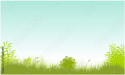 grassy field with bush and sky background