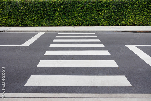 Canvastavla Pedestrian crossing on asphalt road.