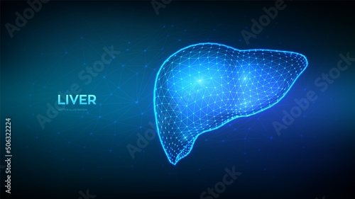 Liver. Human liver. Cirrhosis and hepatitis treatment, donation, diagnostics concept. Abstract Low polygonal wireframe organ for medical drugs, pharmacy and education design. Vector illustration.