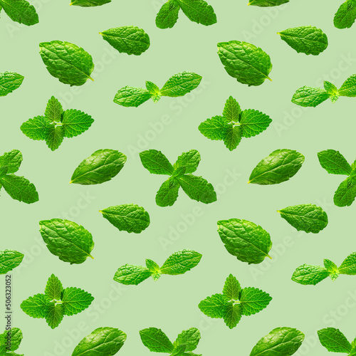 Seamless pattern of fresh mint leaves on green background for packaging design. peppermint abstract background.