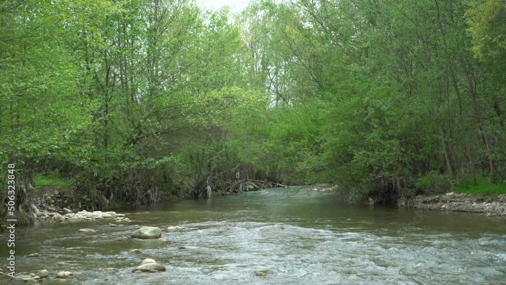 fast flowing river bed and green trees on its side. river with high flow