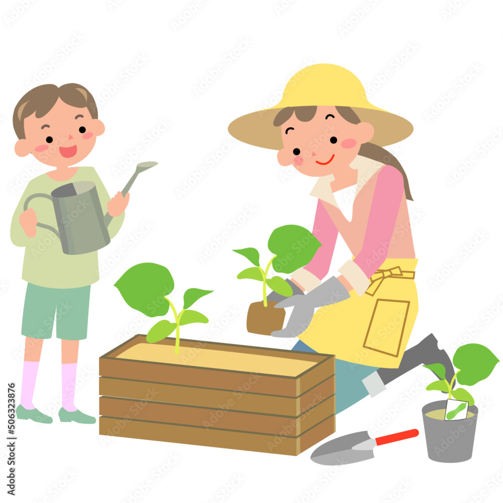 夏野菜の苗を植える母親と男の子