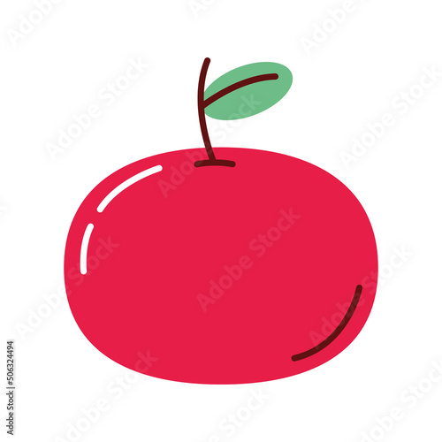 red tomato vegetable