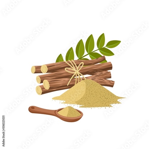 Vector illustration of licorice root powder, scientific name Glycyrrhiza glabra, with green leaves, wooden spoon and dried roots, isolated on a white background.